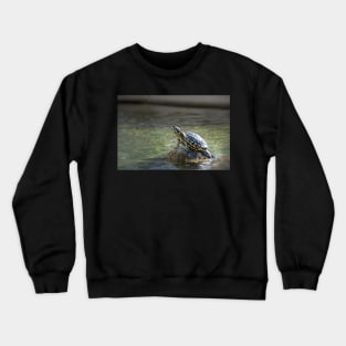 Head and Shoulders above Crewneck Sweatshirt